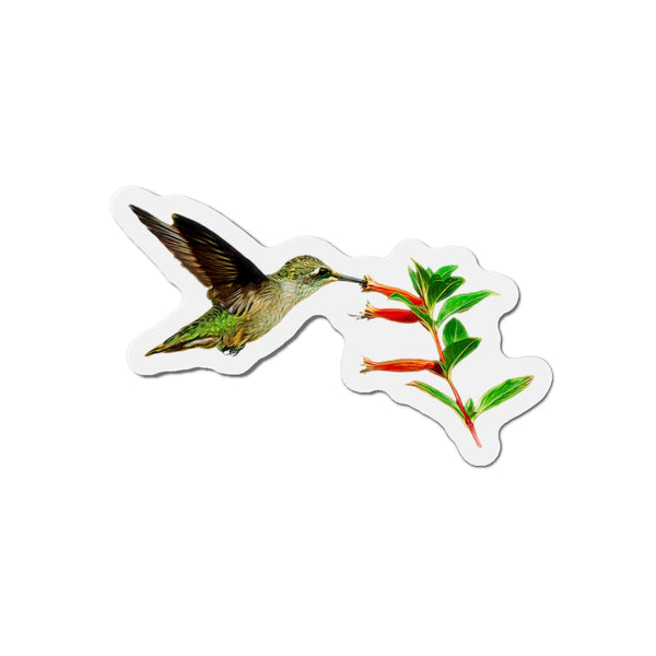 Hummingbird Simple Nibble Die-Cut Magnets