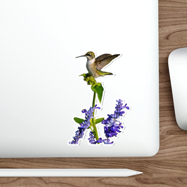 Hummingbird Lookout Die-Cut Stickers