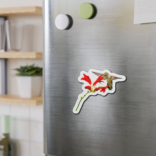 Hummingbird Red Vine Die-Cut Magnets