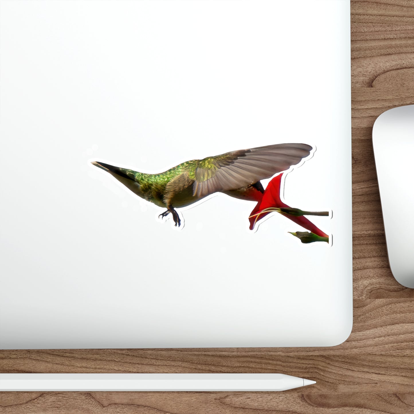 Hummingbird Nectar Die-Cut Stickers -