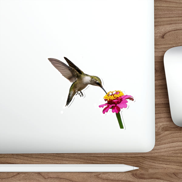 Hummingbird Taste Treat Die-Cut Stickers