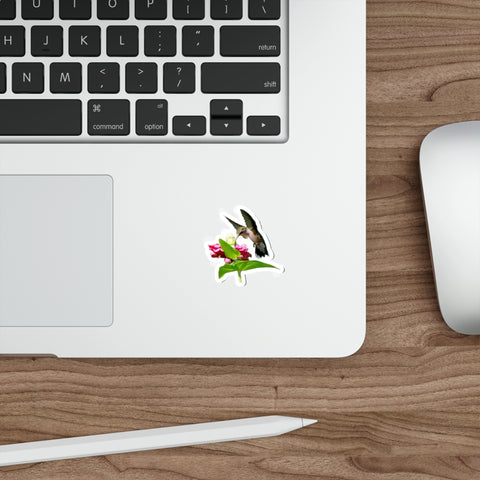 Hummingbird Hidden Zinnia Red Bloom Die-Cut Stickers