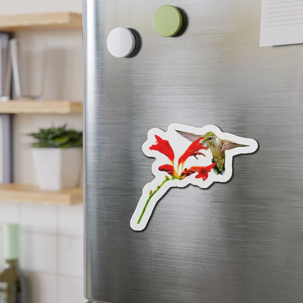 Hummingbird Red Vine Die-Cut Magnets