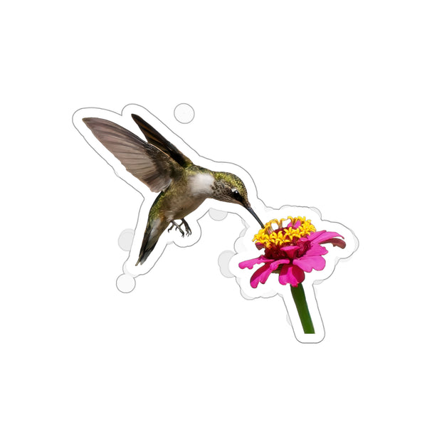 Hummingbird Taste Treat Die-Cut Stickers