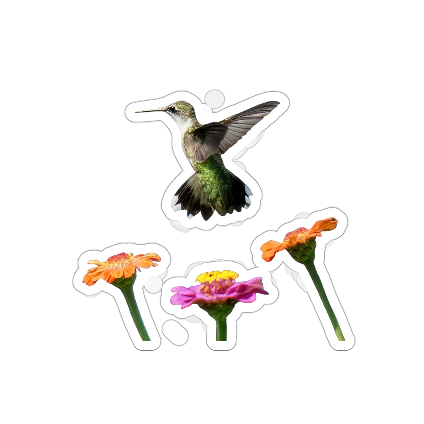 Hummingbird Rising Die-Cut Stickers