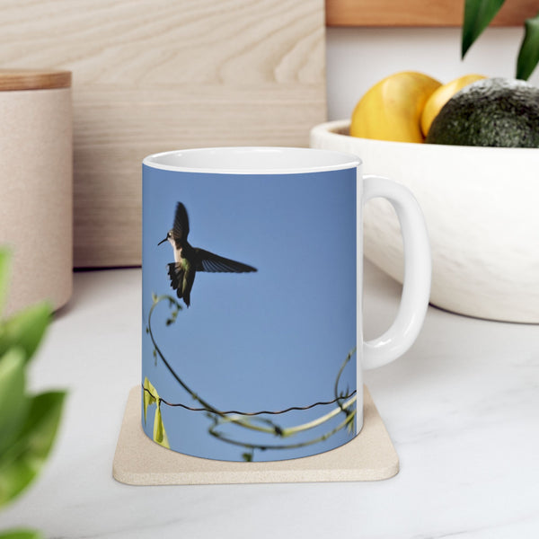 Forgdt the Chips Hummingbird Ceramic Mug 11oz