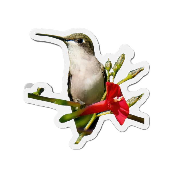 Hummingbird Red Bloom Die-Cut Magnets