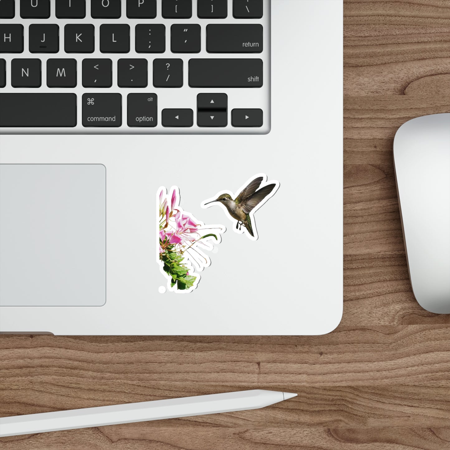 Hummingbird Shaggy Splendor Bloom Die-Cut Stickers