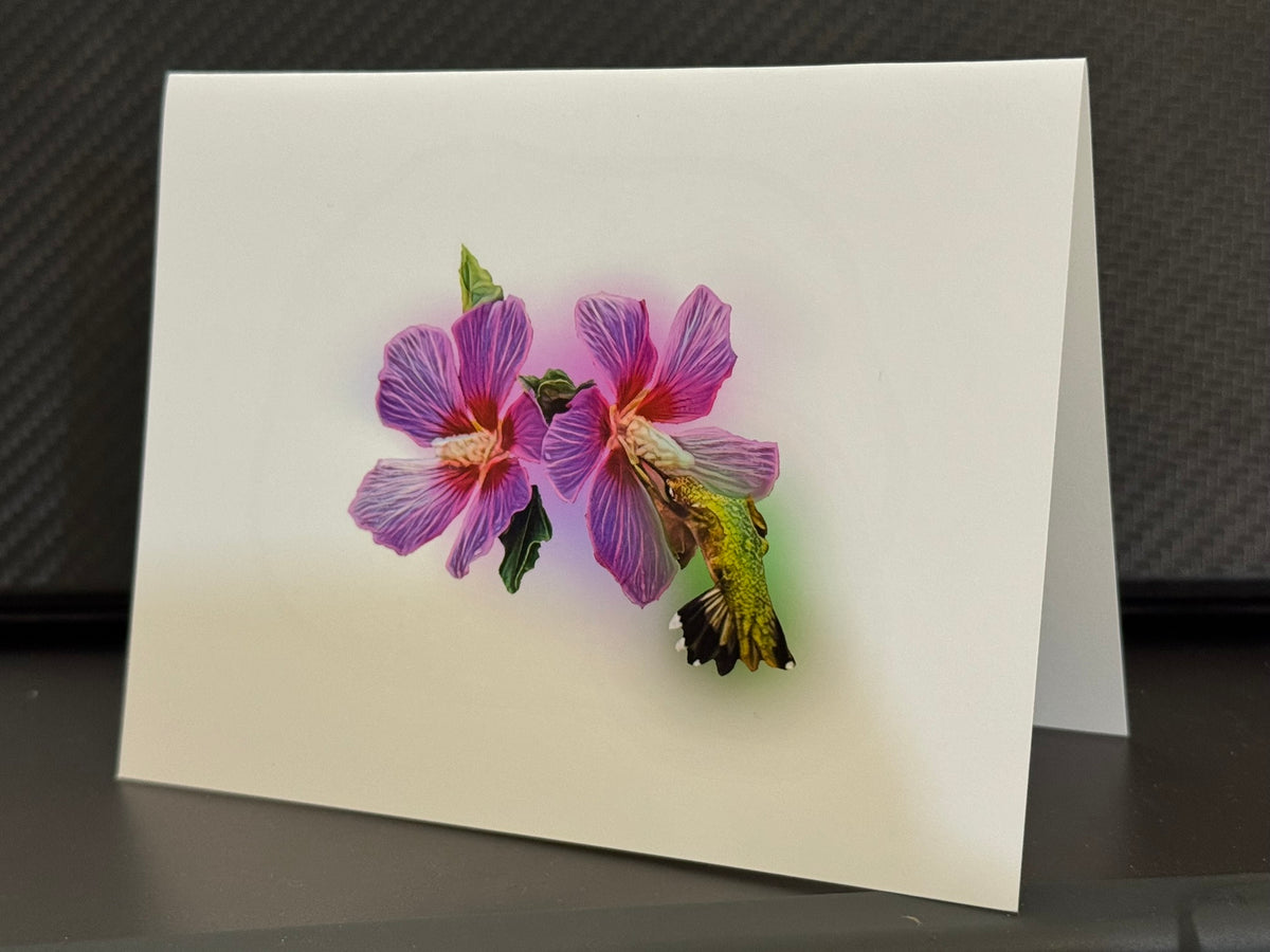Ruby-throated hummingbird feeding at lavender Rose of Sharon blooms on a painterly note card