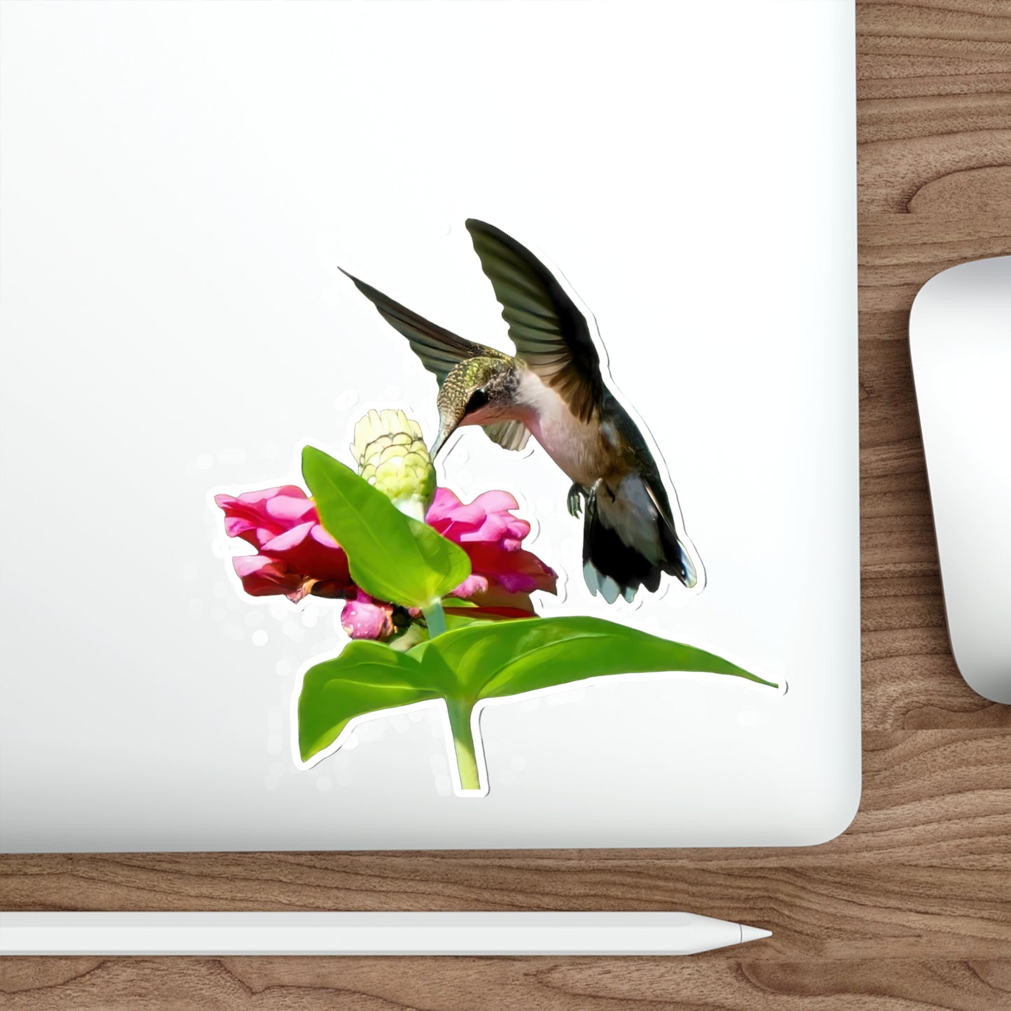 Hummingbird Hidden Zinnia Red Bloom Die-Cut Stickers