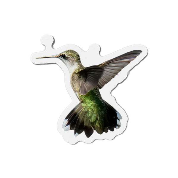 Hummingbird Alert Die-Cut Magnets