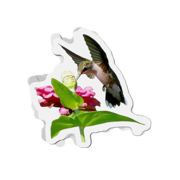 Hummingbird Wing Rise Die-Cut Magnets