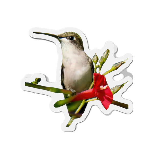 Hummingbird Red Bloom Die-Cut Magnets