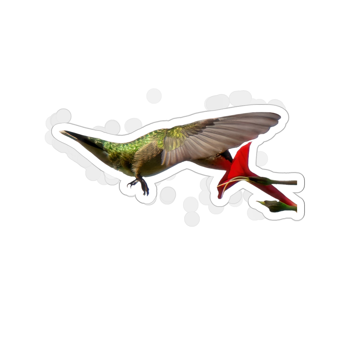 Hummingbird Nectar Die-Cut Stickers -