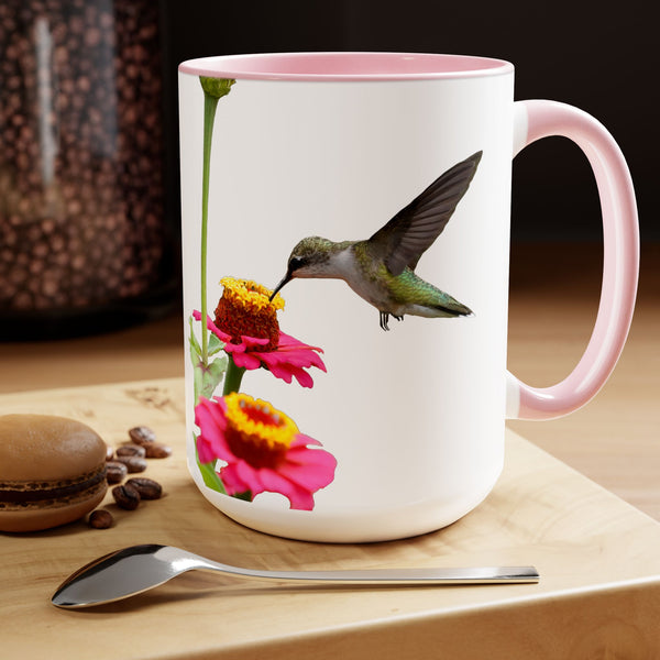 Two-Tone Coffee Mugs, 15oz