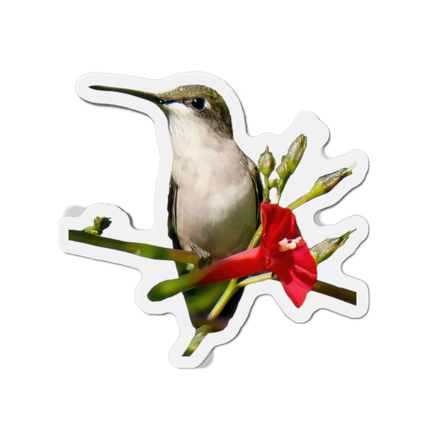 Hummingbird Red Bloom Die-Cut Magnets