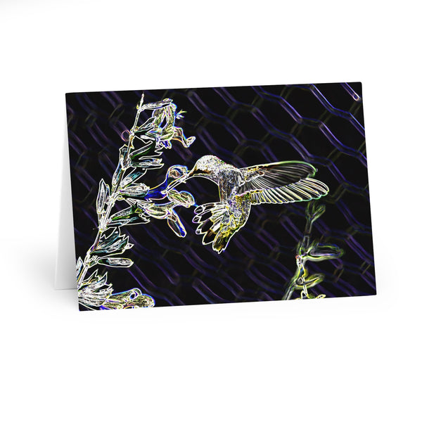 Mid Air Twist Hummingbird Night Dreams Notecard (5 Pack)