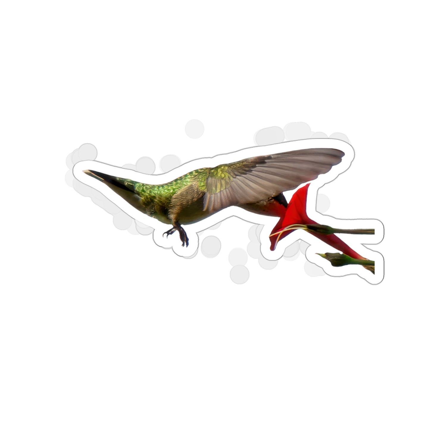 Hummingbird Nectar Die-Cut Stickers -