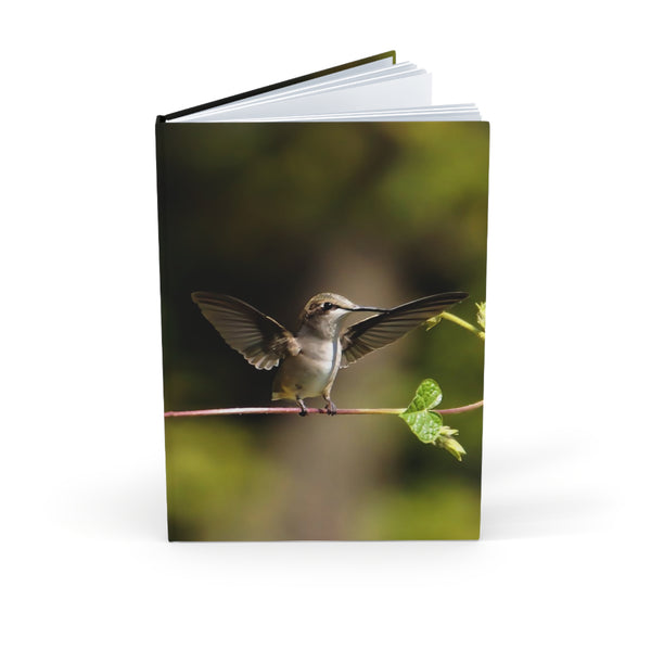 Wide Wings Hummingbird Hardcover Journal (A5)