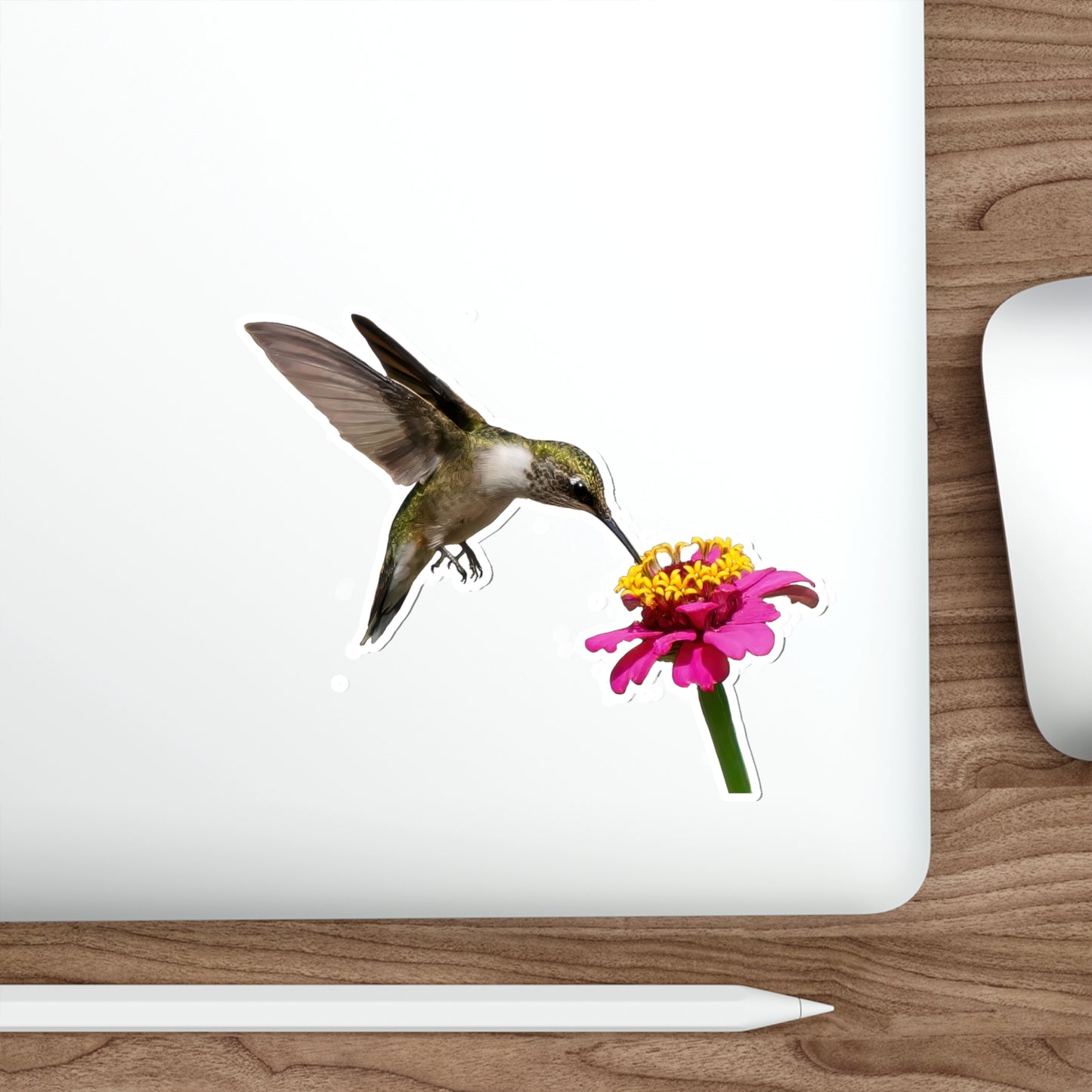 Hummingbird Taste Treat Die-Cut Stickers