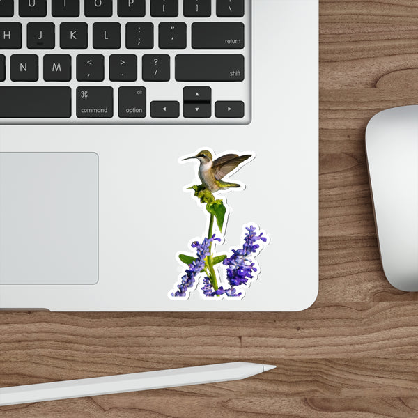 Hummingbird Lookout Die-Cut Stickers