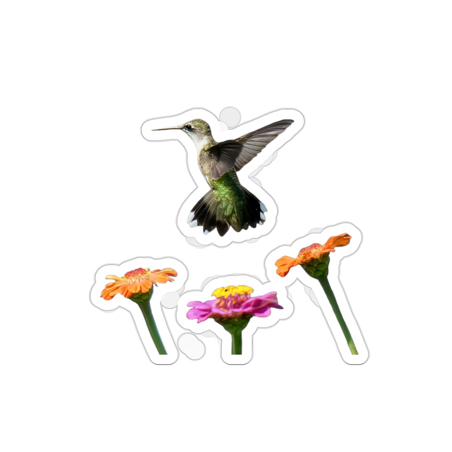 Hummingbird Rising Die-Cut Stickers