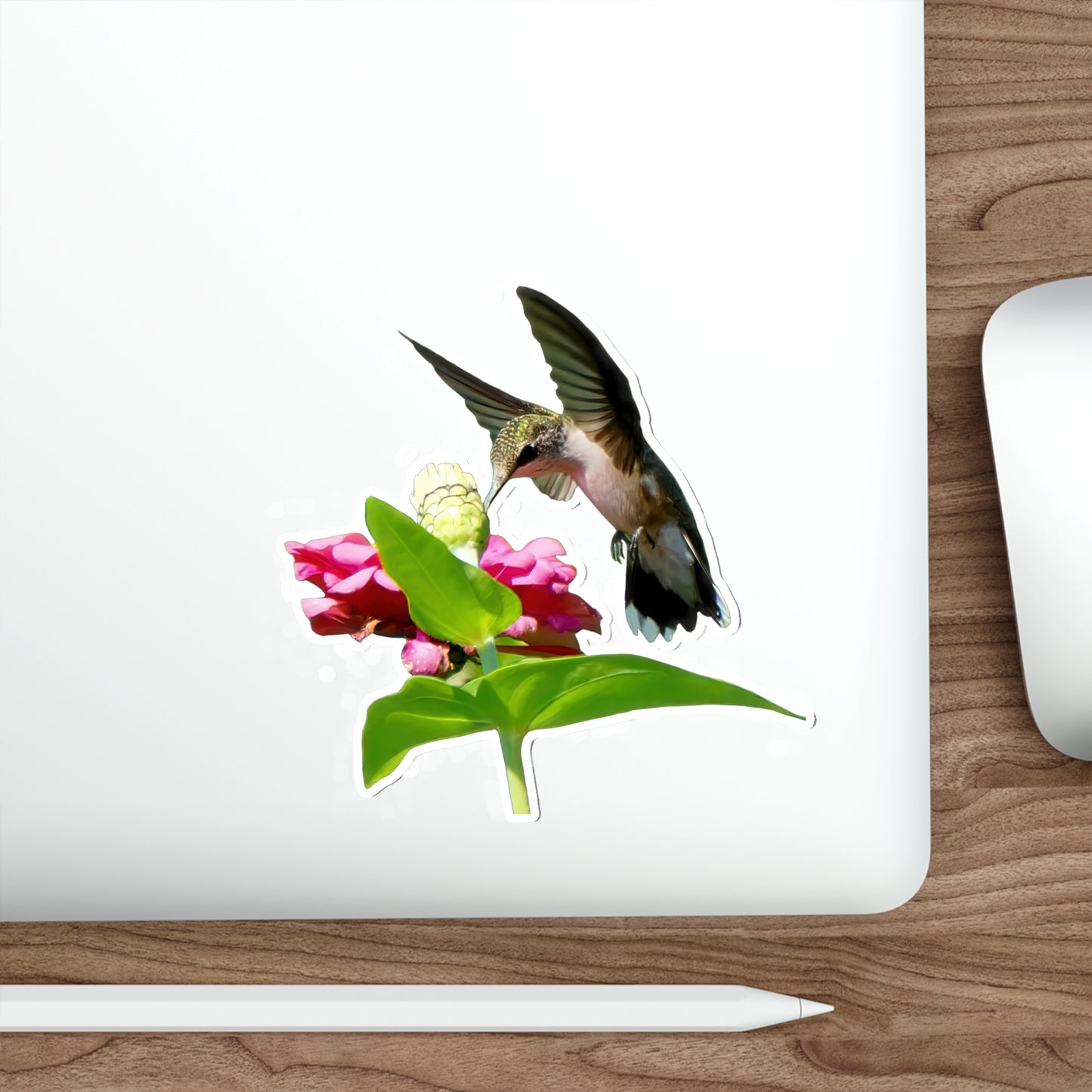Hummingbird Hidden Zinnia Red Bloom Die-Cut Stickers