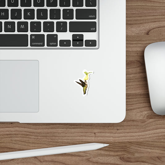 Hummingbird Looking Up Die-Cut Stickers