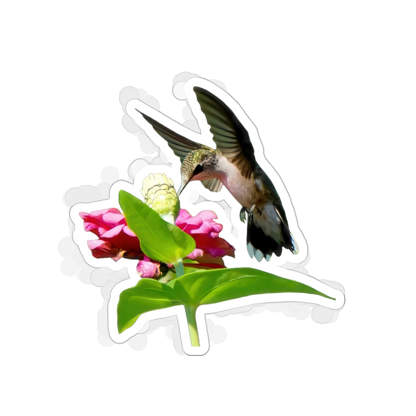 Hummingbird Hidden Zinnia Red Bloom Die-Cut Stickers