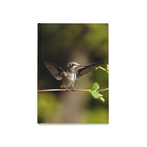 Wide Wings Hummingbird Hardcover Journal (A5)