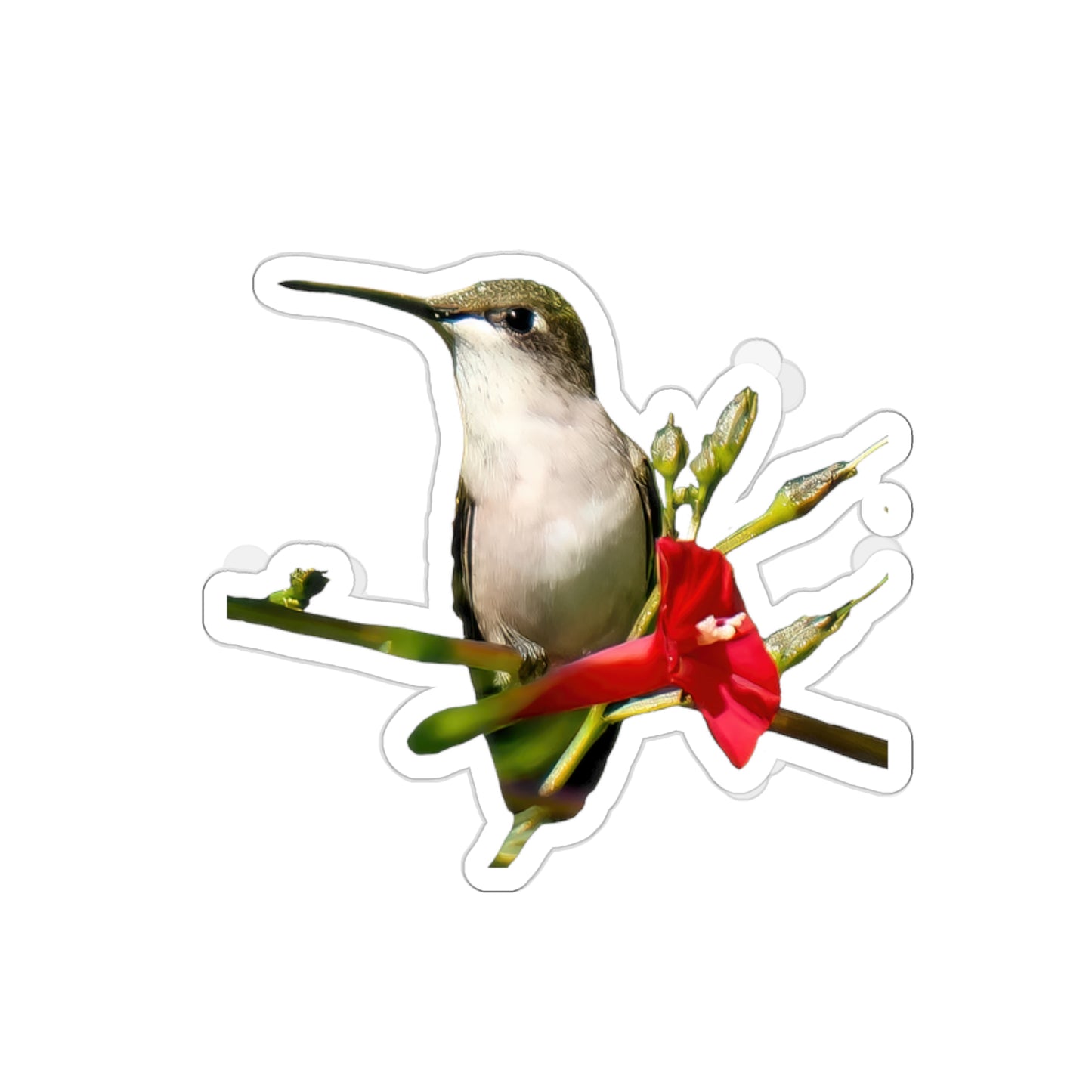 Hummingbird Red Bloom Die-Cut Stickers