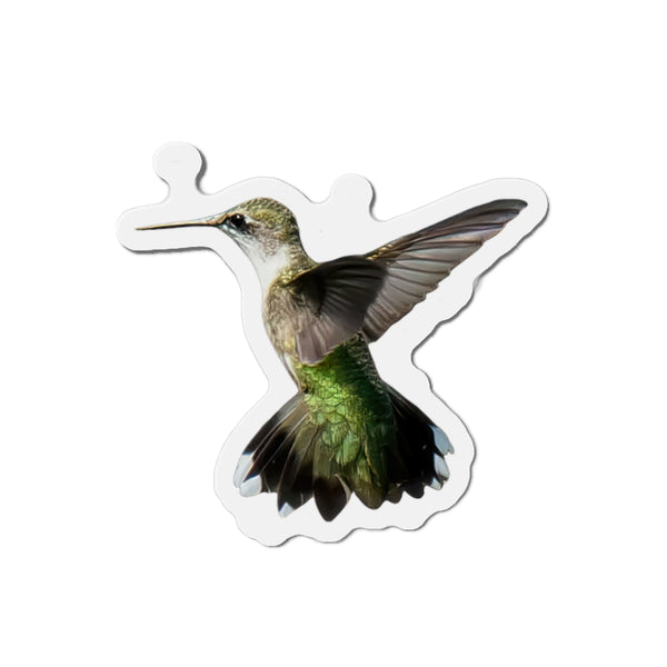 Hummingbird Alert Die-Cut Magnets