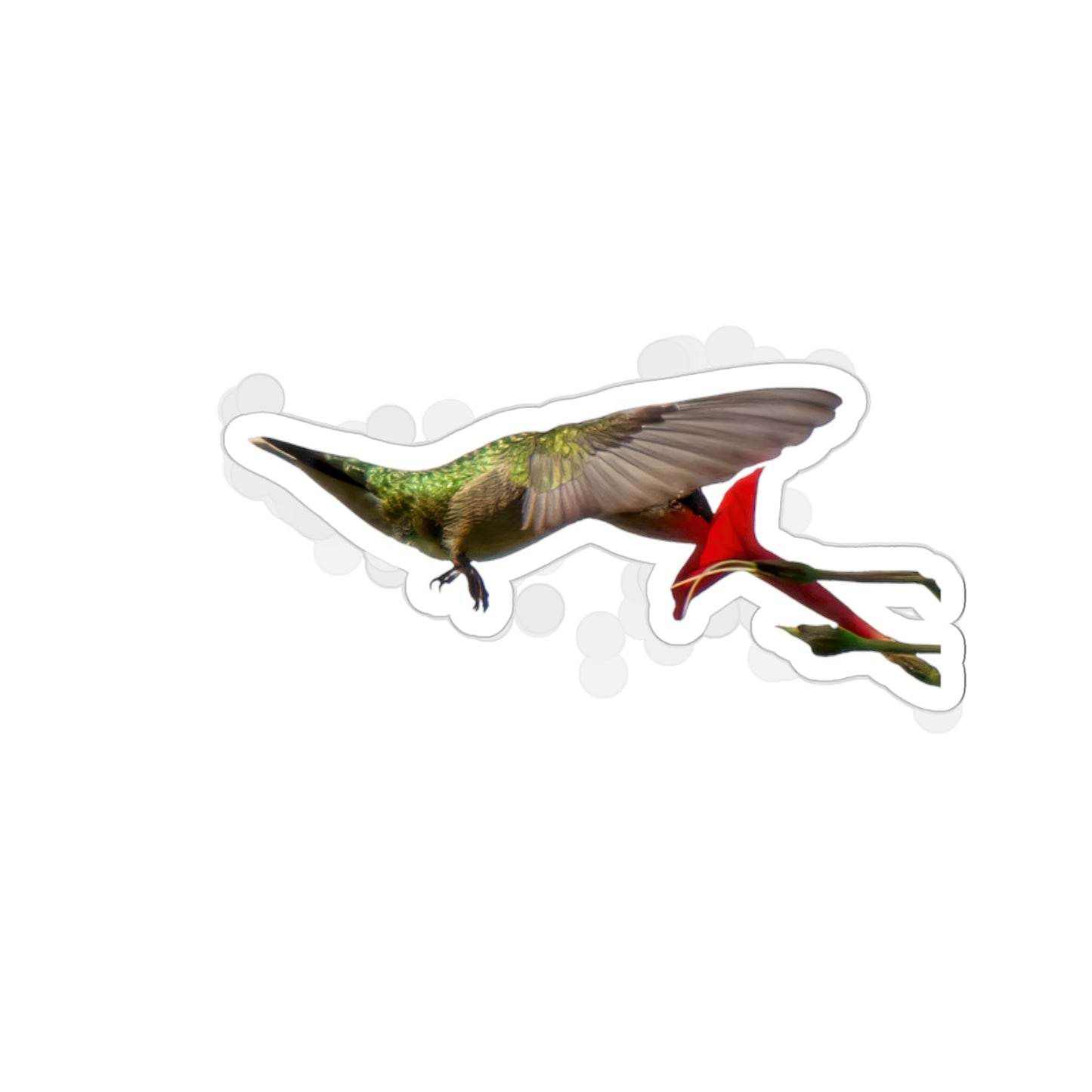 Hummingbird Nectar Die-Cut Stickers -