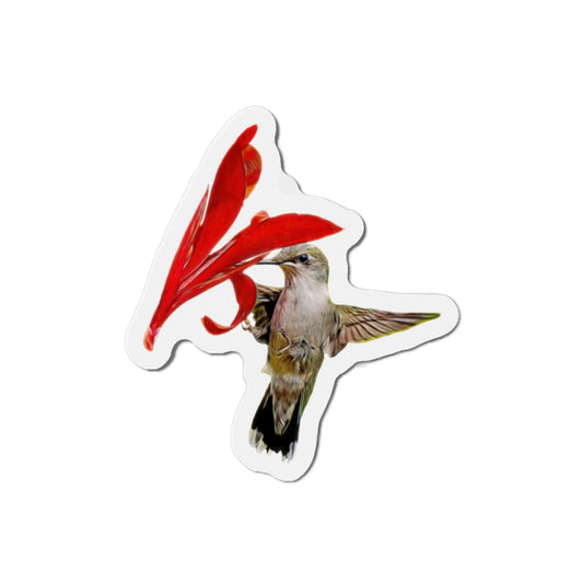 Hummingbird Curl Die-Cut Magnets