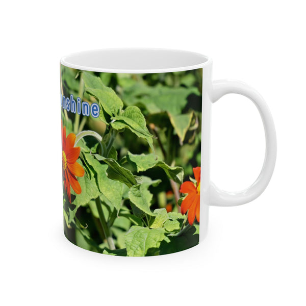 Sunshine Taste Hummingbird Ceramic Mug 11oz