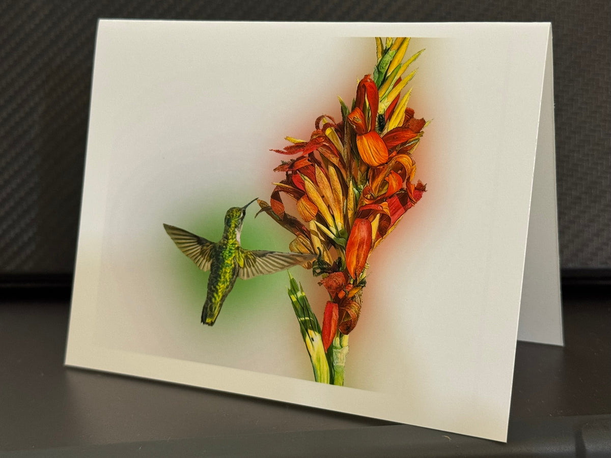 Ruby-throated hummingbird hovering beside an orange flower spike on a painterly note card
