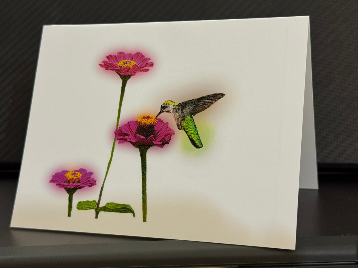 Ruby-throated hummingbird feeding at three magenta zinnias on a painterly note card