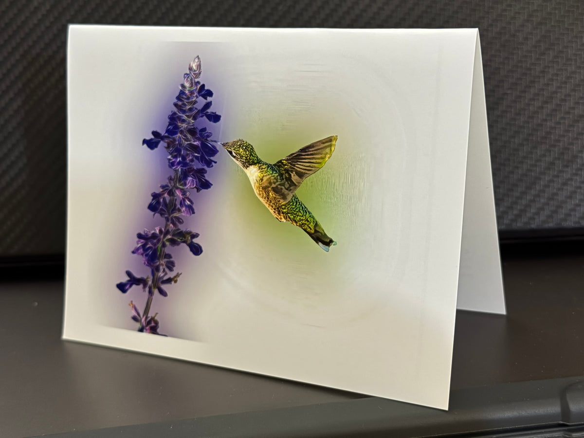 Female Ruby-throated hummingbird feeding at violet salvia on a painterly note card