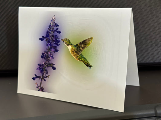 Female Ruby-throated hummingbird feeding at violet salvia on a painterly note card
