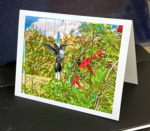 Hummingbird Brilliant Animated Note Card