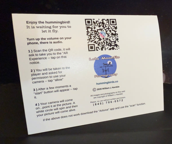 Hummingbird Attention Animated Note Card