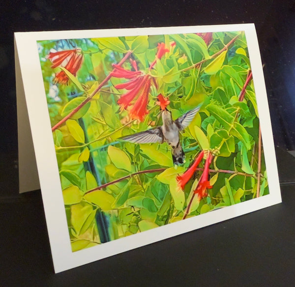 Hummingbird Honey Animated Note Card
