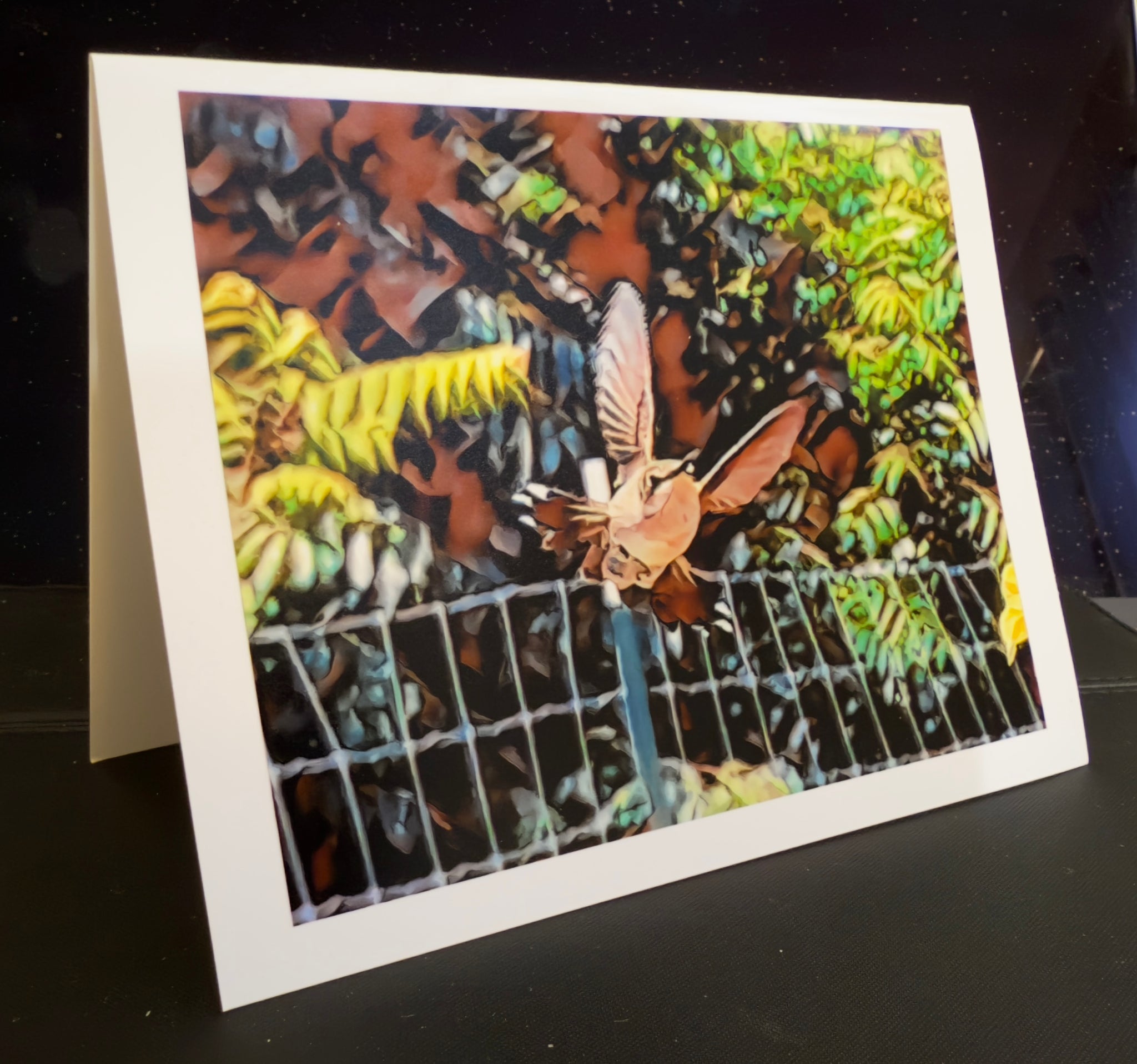 Hummingbird Flight Animated Note Card