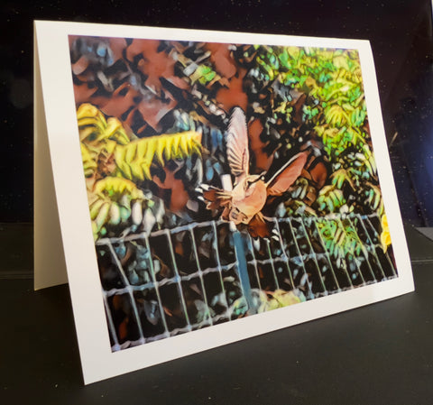 Hummingbird Flight Animated Note Card