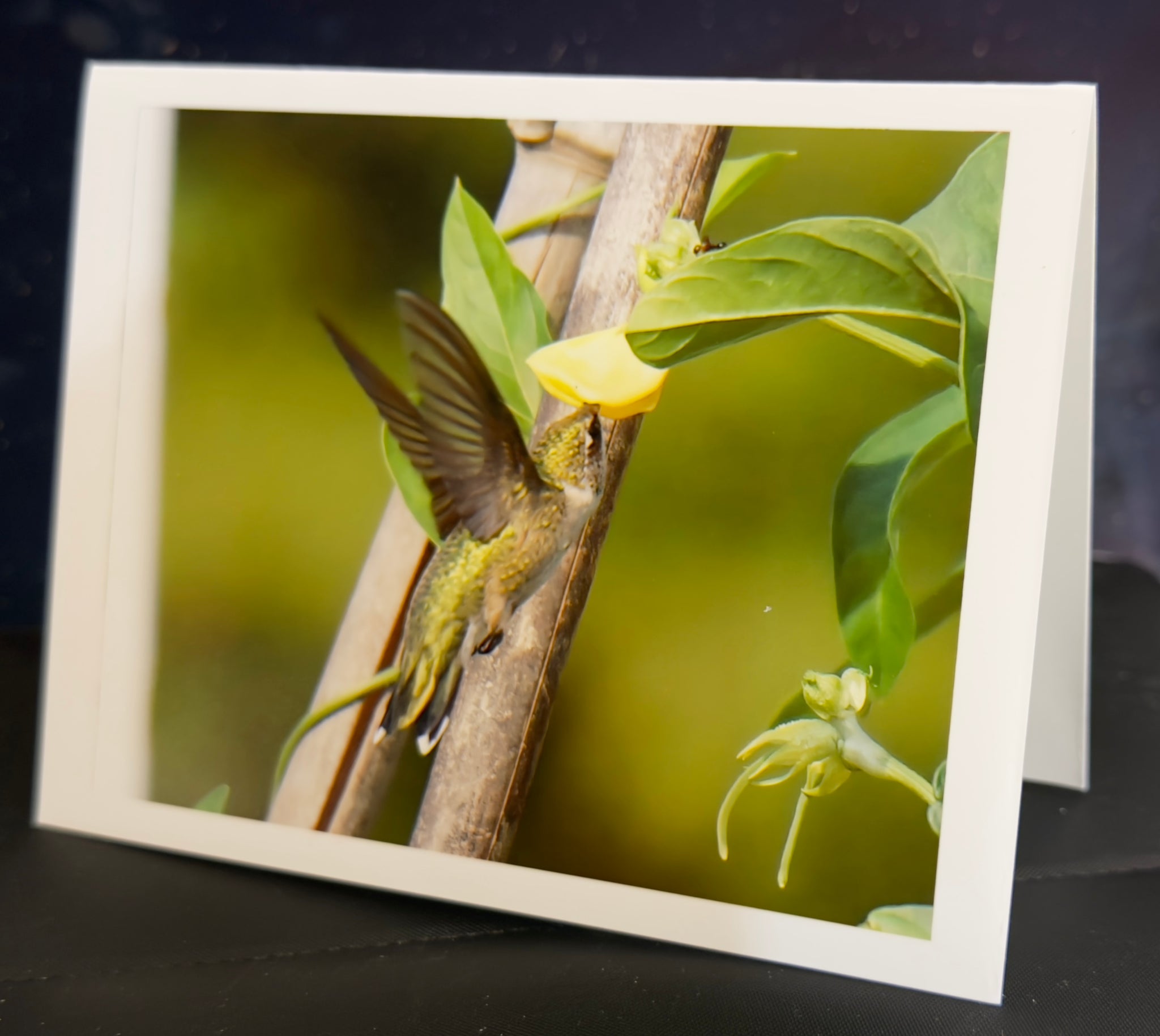 Hummingbird Gentle Yellow Animated Note Card