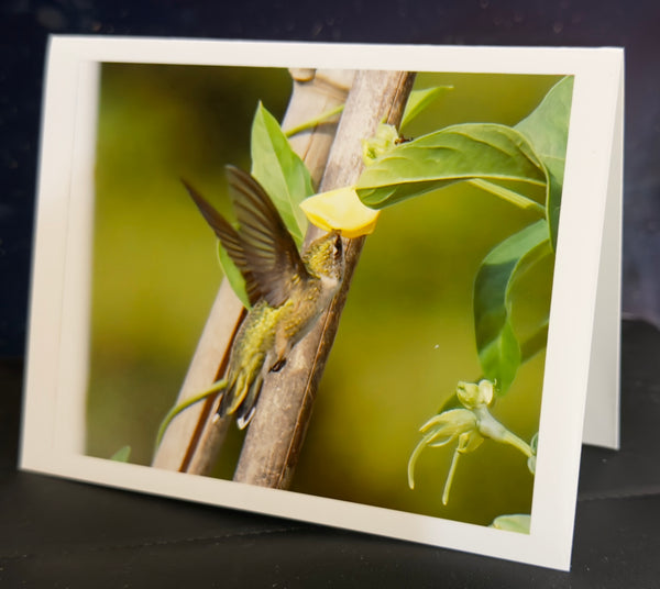 Hummingbird Gentle Yellow Animated Note Card