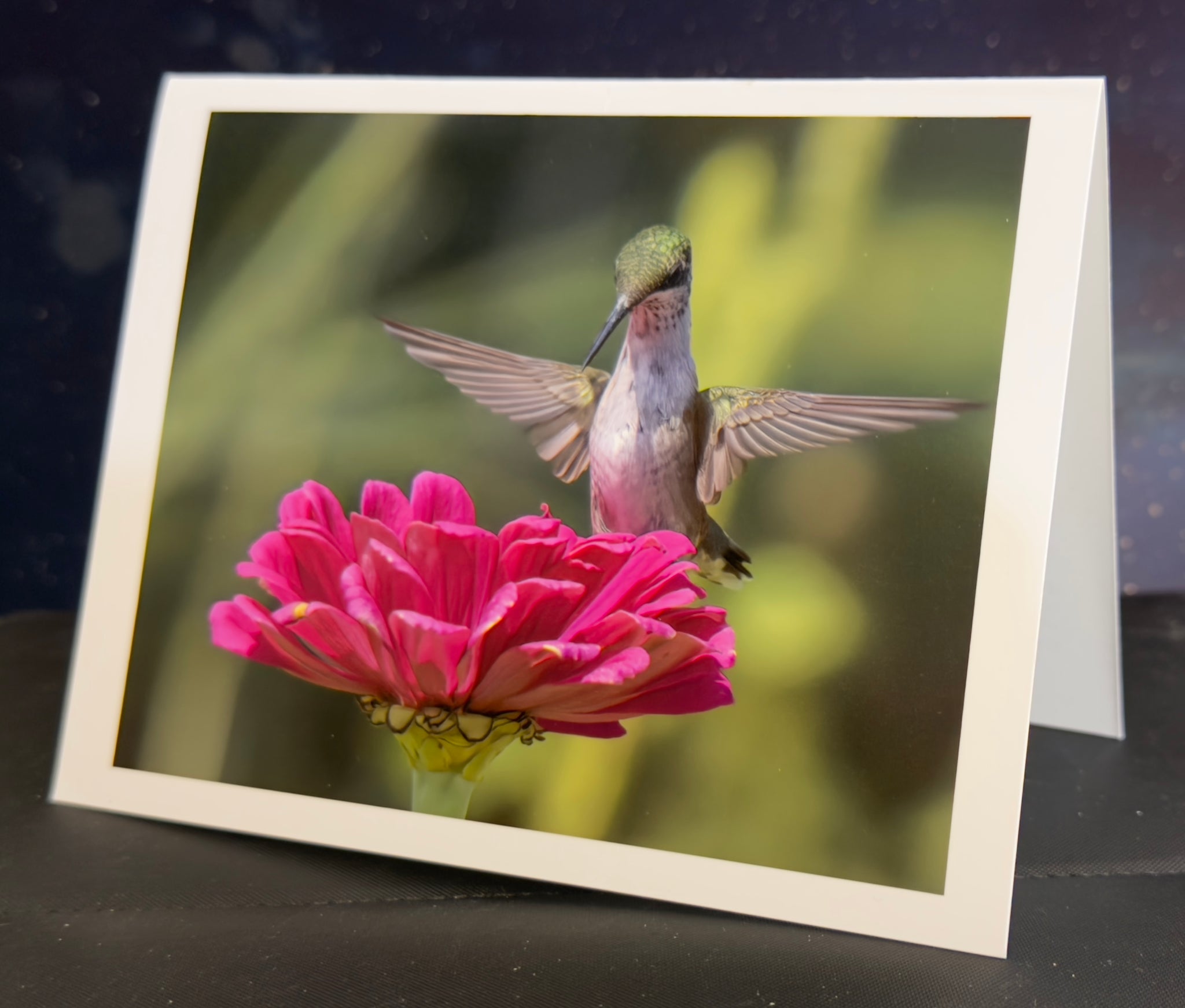 Hummingbird Big Hug Animated Note Card