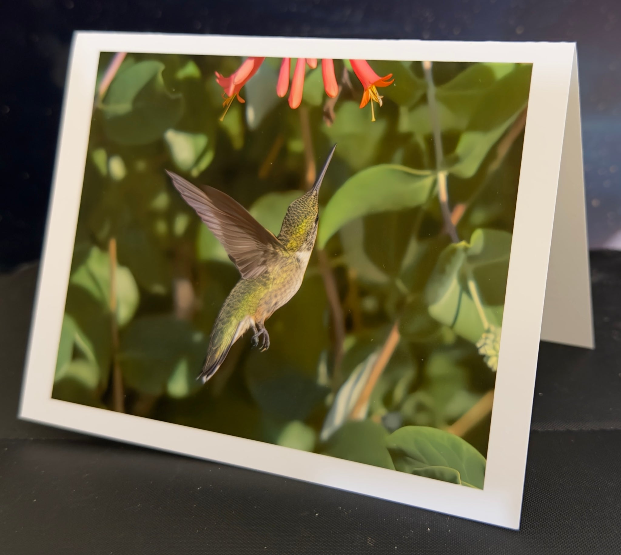 Hummingbird Attention Animated Note Card