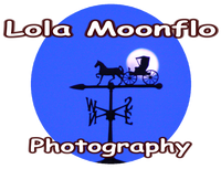 Lola Moonflo Art and Photography