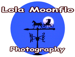 Lola Moonflo Art and Photography